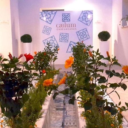 Caelum Case Vacanza Trapani Exterior foto